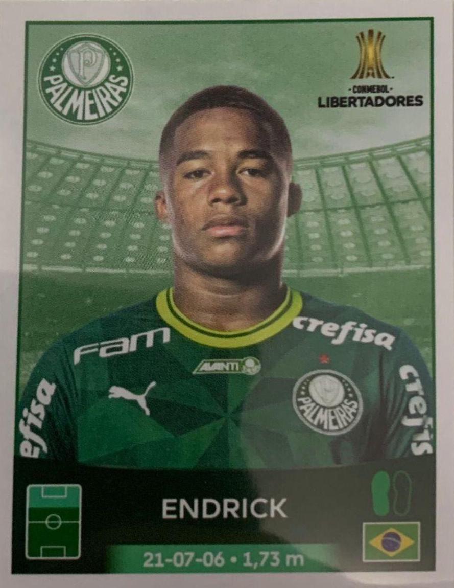 Endrick #202 Soccer Cards 2023 Panini Conmebol Copa Libertadores