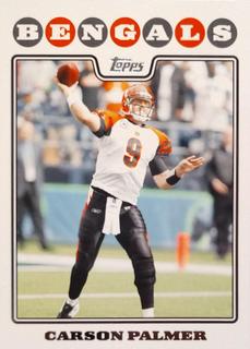 Carson Palmer