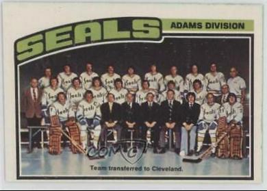 Seals Team #135 Hockey Cards 1976 O-Pee-Chee