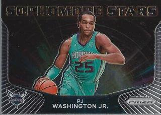 PJ Washington Jr.