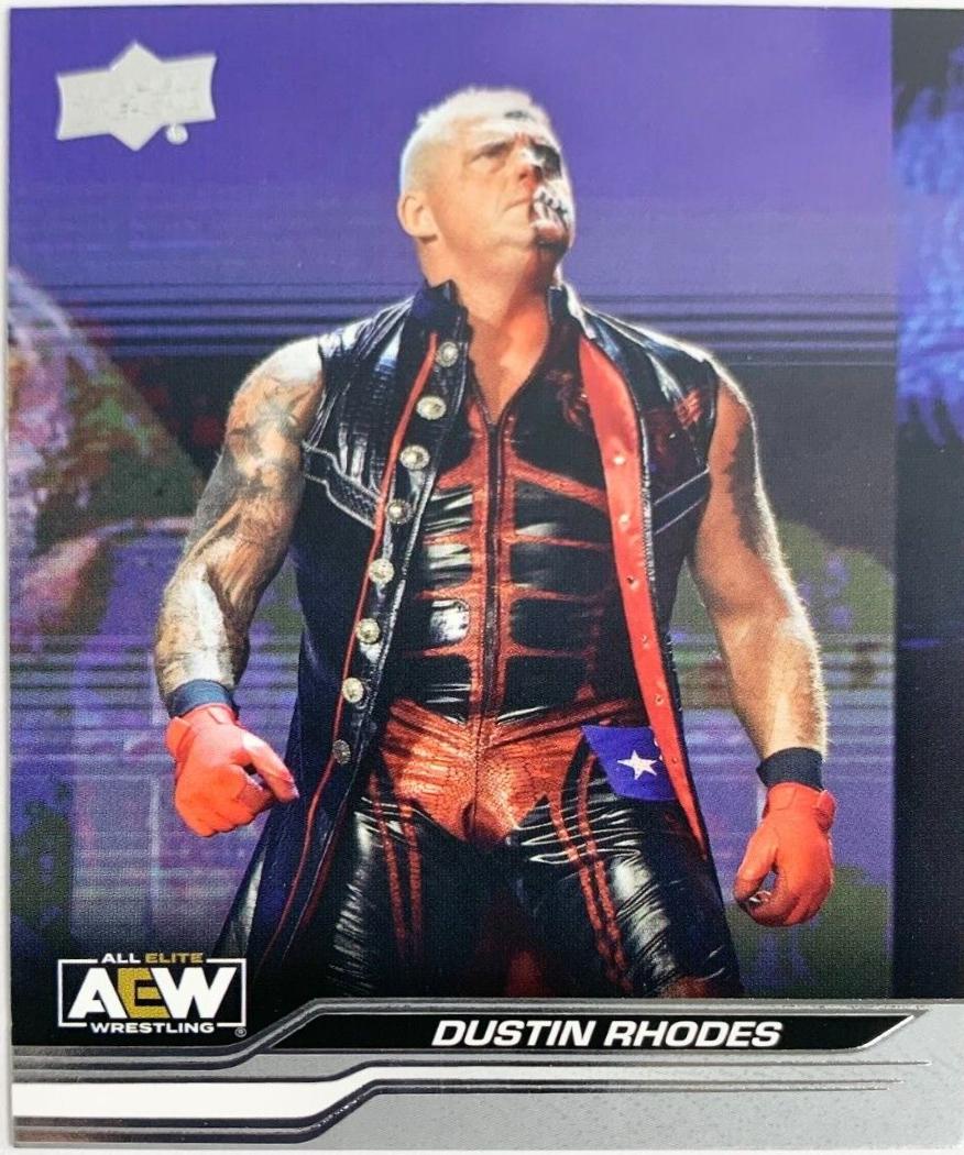 Dustin Rhodes #3 Wrestling Cards 2024 Upper Deck AEW