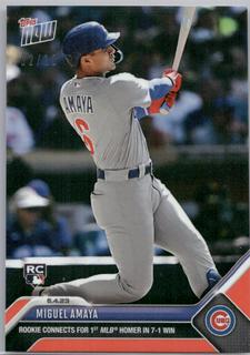 Miguel Amaya