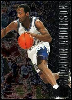 Shandon Anderson