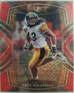 Troy Polamalu