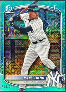 Mani Cedeno