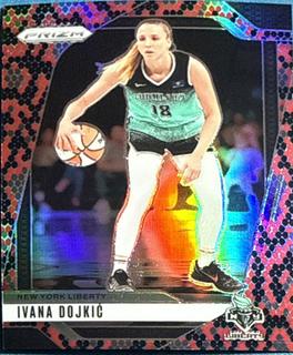 Ivana Dojkic