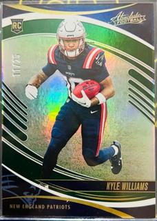 Kyle Williams