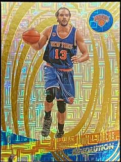 Joakim Noah