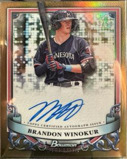Brandon Winokur