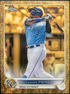 Salvador Perez