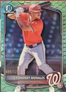 Yohandy Morales