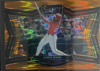 James Wood