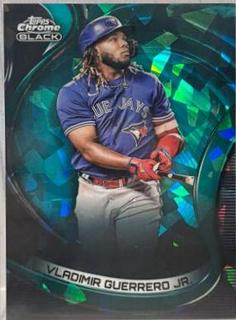 Vladimir Guerrero Jr.