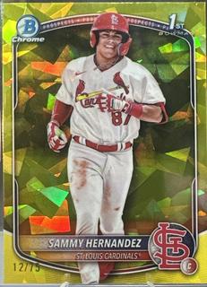 Sammy Hernandez
