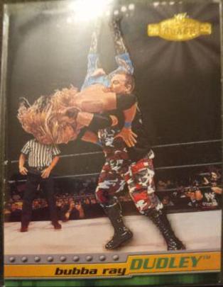 Bubba Ray Dudley #38 Wrestling Cards 2001 Fleer WWF Championship Clash