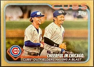 Cheerful In Chicago