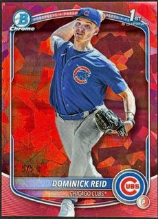 Dominick Reid