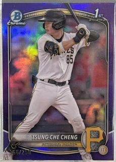 Tsung-Che Cheng
