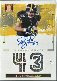 Troy Polamalu