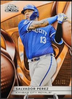 Salvador Perez