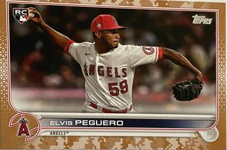 Elvis Peguero