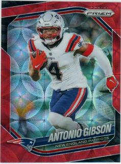 Antonio Gibson