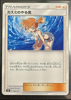 Misty's Determination