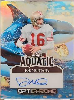 Joe Montana