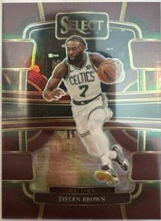 Jaylen Brown
