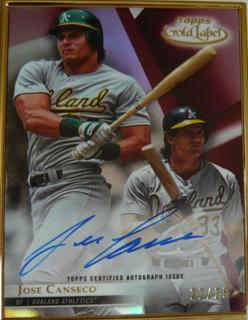 Jose Canseco