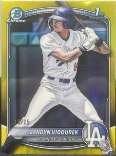 Landyn Vidourek