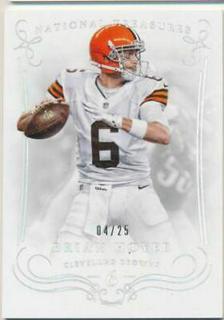Brian Hoyer