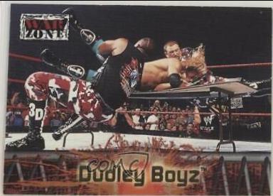 Dudley Boyz #69 Wrestling Cards 2001 Fleer WWF Raw Is War
