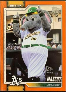 Mascot Athletics