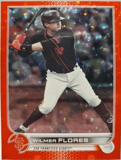 Wilmer Flores