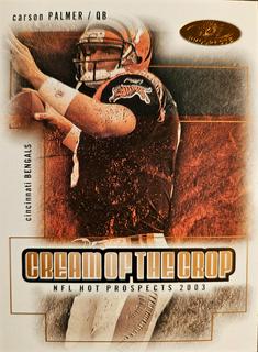 Carson Palmer