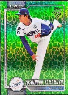 Yoshinobu Yamamoto