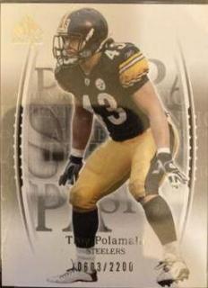 Troy Polamalu
