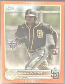 James Wood