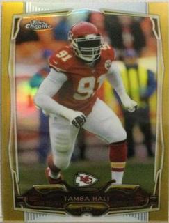 Tamba Hali