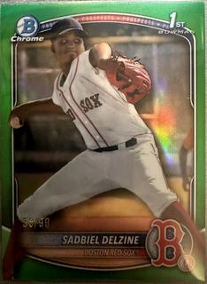 Sadbiel Delzine