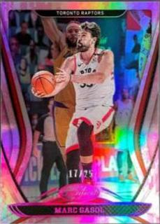 Marc Gasol