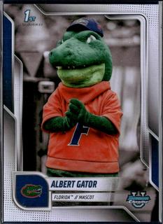 Albert Gator
