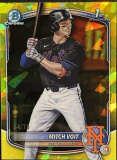 Mitch Voit