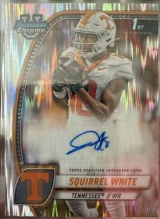 Squirrel White