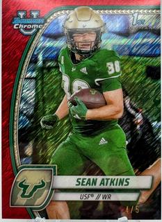 Sean Atkins