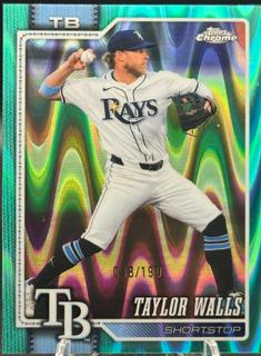 Taylor Walls