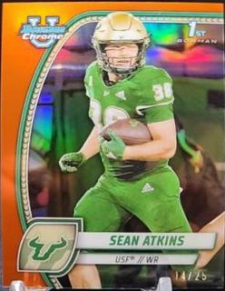 Sean Atkins