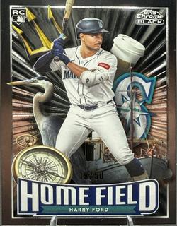 Harry Ford