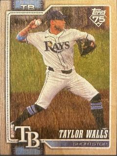 Taylor Walls